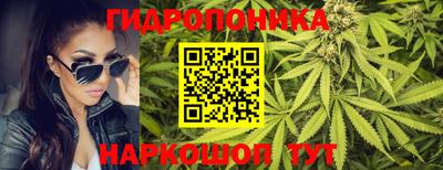 гидра Малгобек