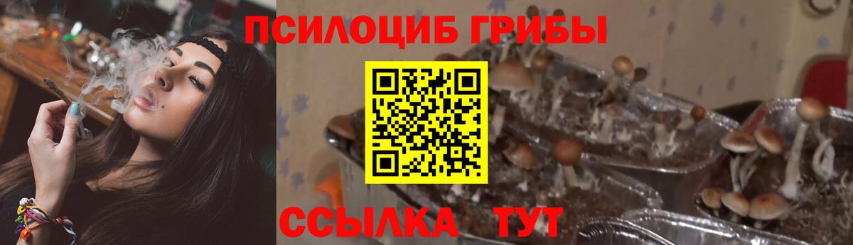 Псилоцибиновые грибы мухоморы Гагарин